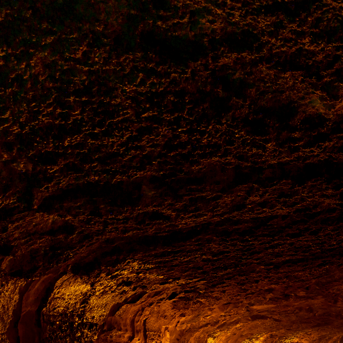 On ne voit que ce qu&rsquo;on éclaire | Récits des profondeurs